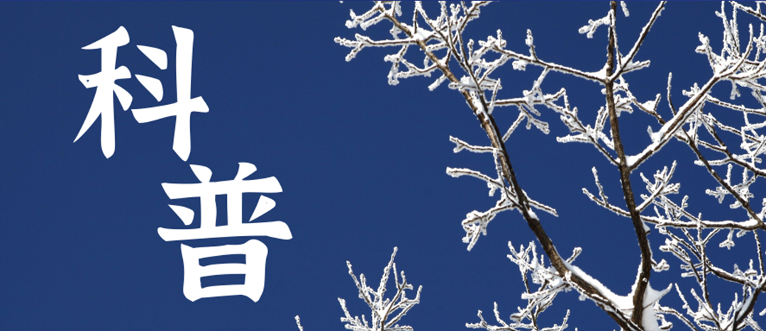 科普 | 冬季雨雪天氣?；愤\輸車輛注意事項