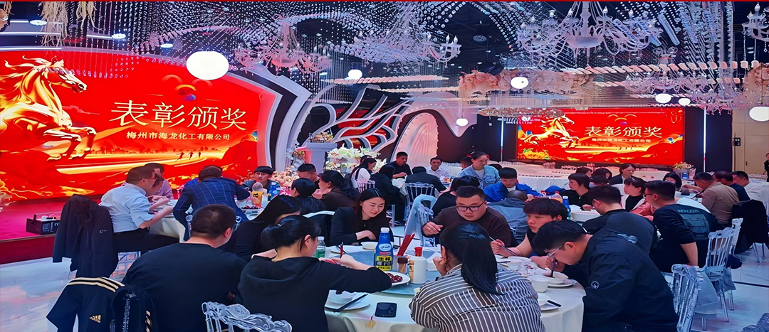 騏驥開道，奮進新篇 | 海龍化工2025年終工作總結(jié)表彰暨團年晚宴圓滿落幕